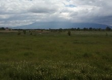 ����� ������, ���� ����� - ������